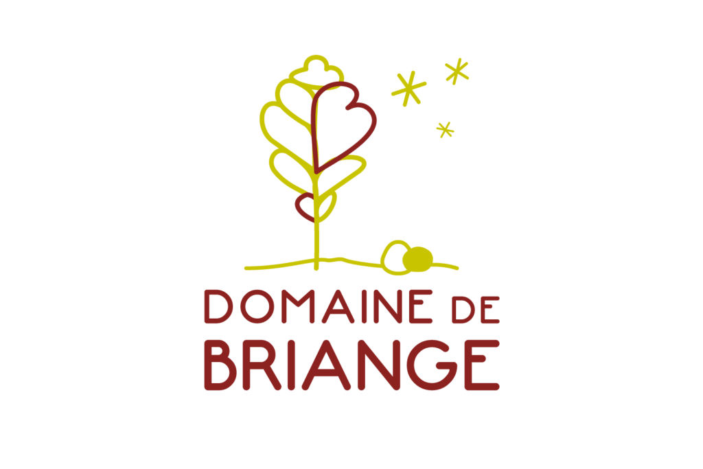 Domaine de Briange ancien logo